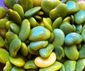 fresh lima beans 