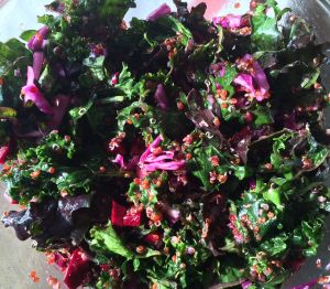 Read more about the article Winter Produce & Kale Superfood Salad Recipe