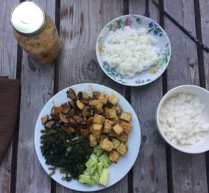Read more about the article Tempeh, Kale, Zucchini, and Cucumbers with Gochu Jang, Kimchi and Rice