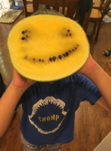 Read more about the article Now that’s a Happy Melon!