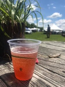 Read more about the article Our first sale from tap! Locally grown Strawberry Kombucha @Summer Solstice Festival Serpent Mound