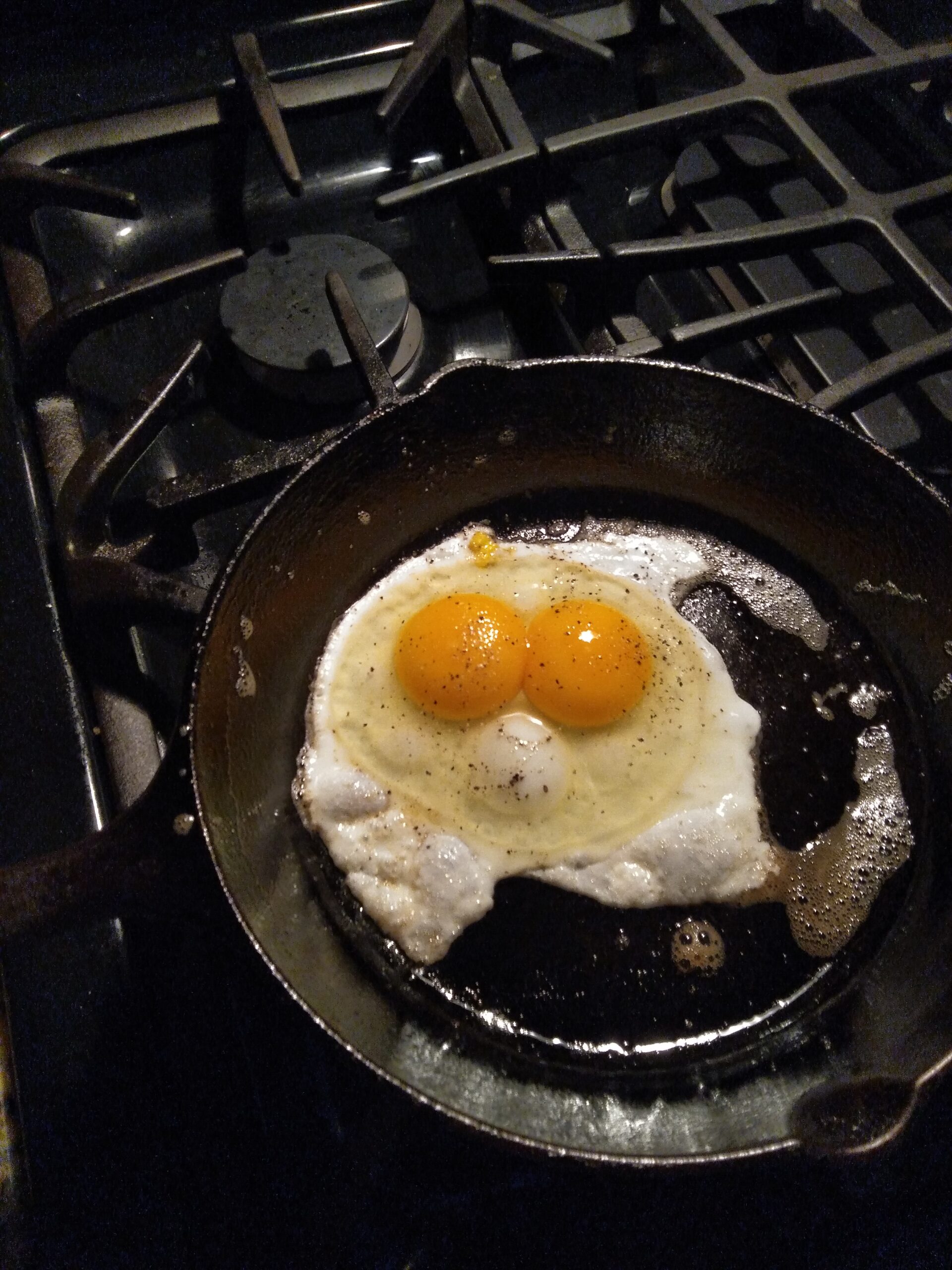 You are currently viewing Double Yolked Eggs