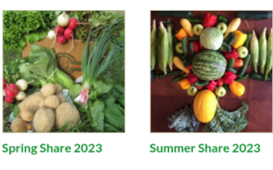 Read more about the article Spring and Summer Farmshares are available!