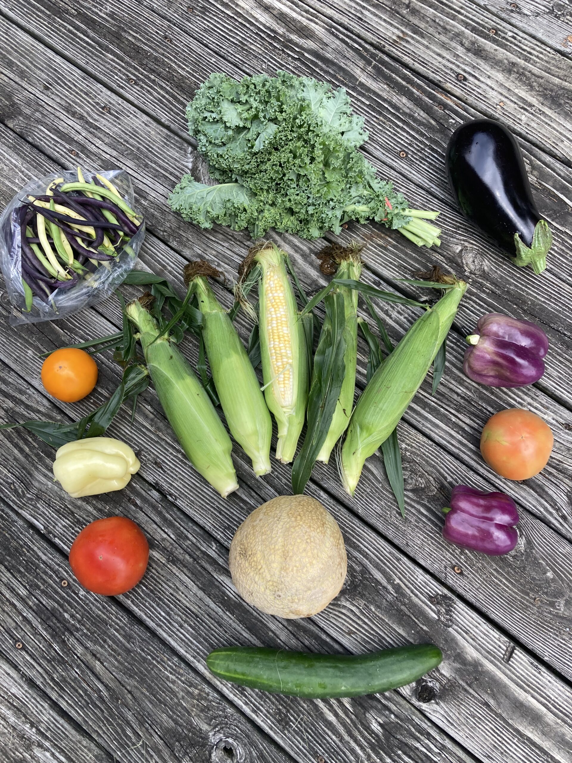 Read more about the article Large Farmshare 7/19/23