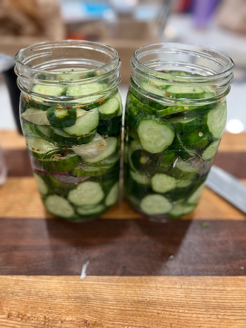 Read more about the article Easy Refrigerator Pickles