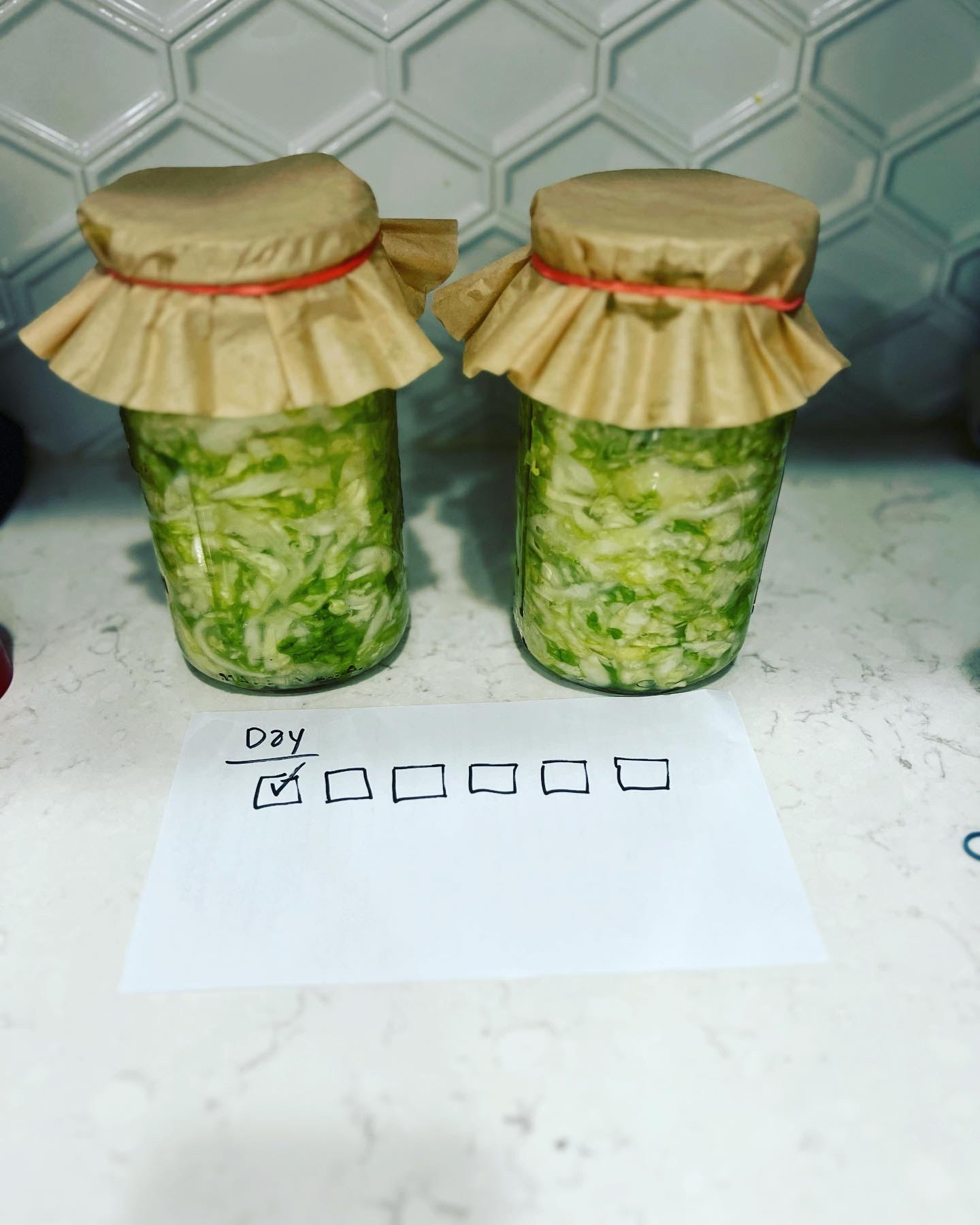 Read more about the article FERMENTED SAUERKRAUT