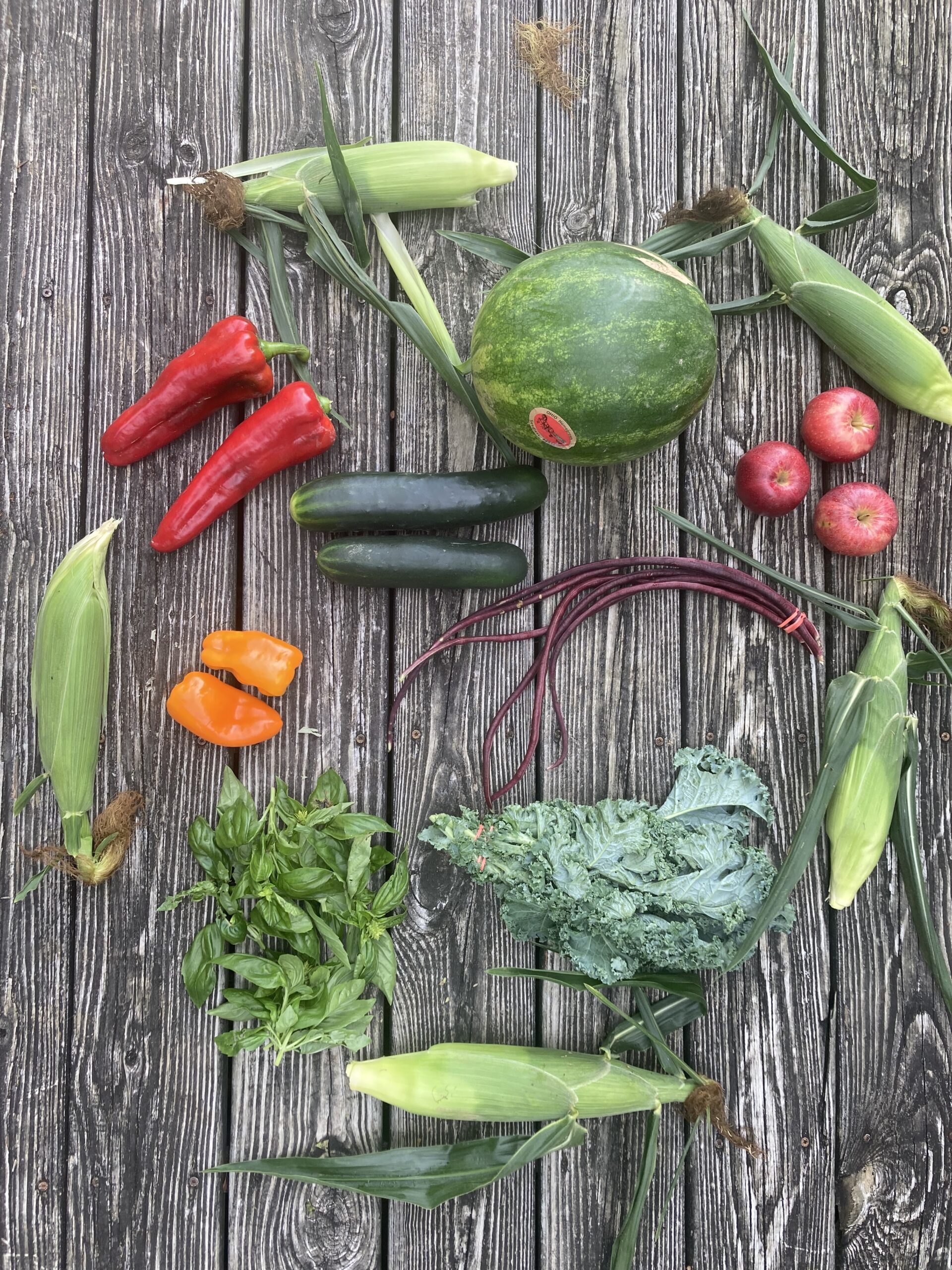 Read more about the article Large Farmshare 8/23-24/23