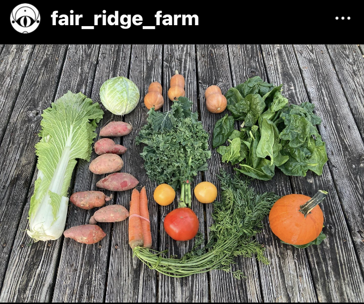 Read more about the article Large Farmshare 11/8/23