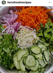 Read more about the article Vietnamese Chicken Salad