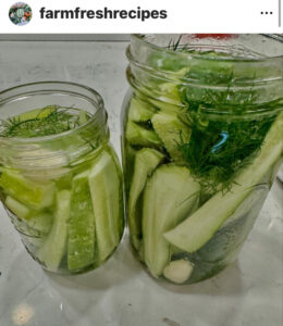 Read more about the article Garlic Dill Refrigerator Pickles