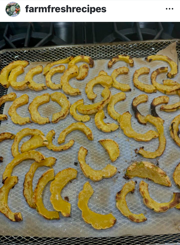 You are currently viewing AIR FRIED DELICATA SQUASH