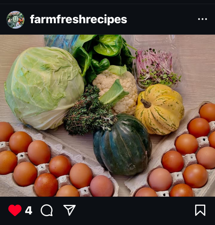 Read more about the article New Years Winter CSA Box w/eggs