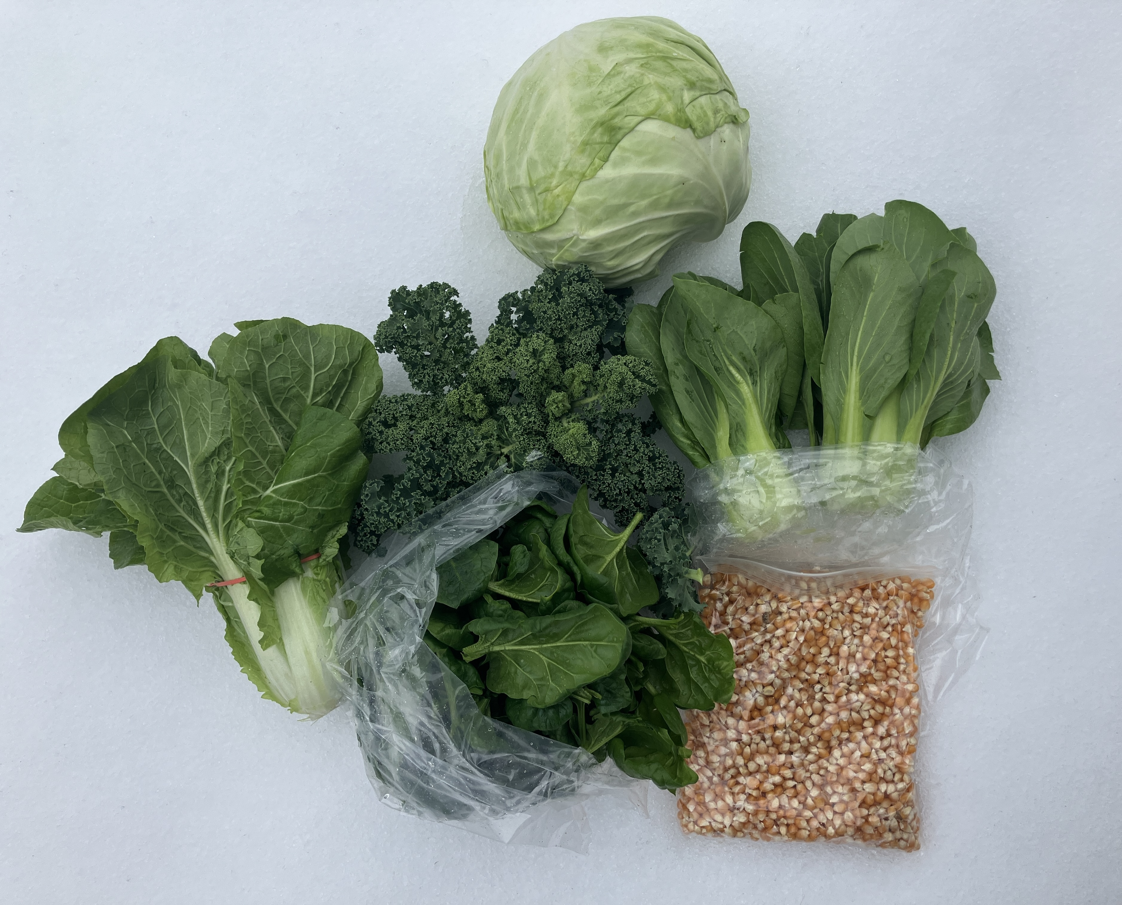 Read more about the article Wintershare 2/13/25.  Main season resumes April 16th 2025