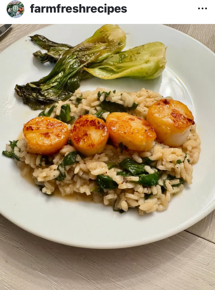 Read more about the article Scallops with Spinach Parmesan Recipe and Boc Choi