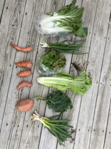 Read more about the article 4/16/25