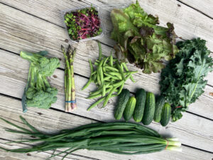 Read more about the article 