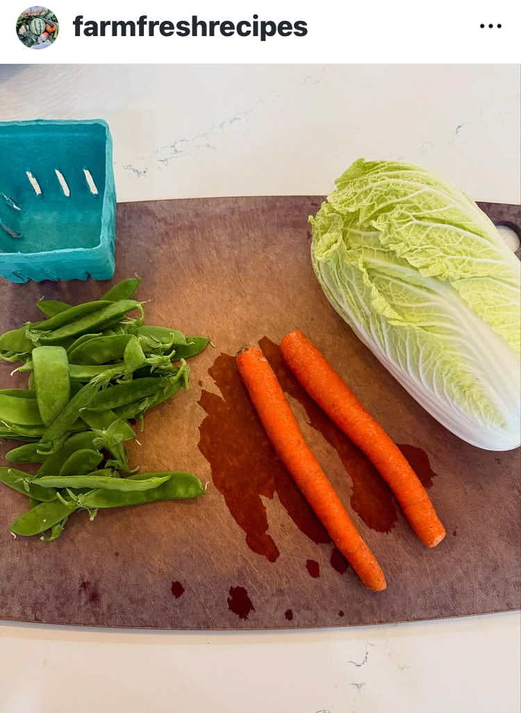 You are currently viewing Napa Cabbage Salad with Sesame Ginger Dressing
