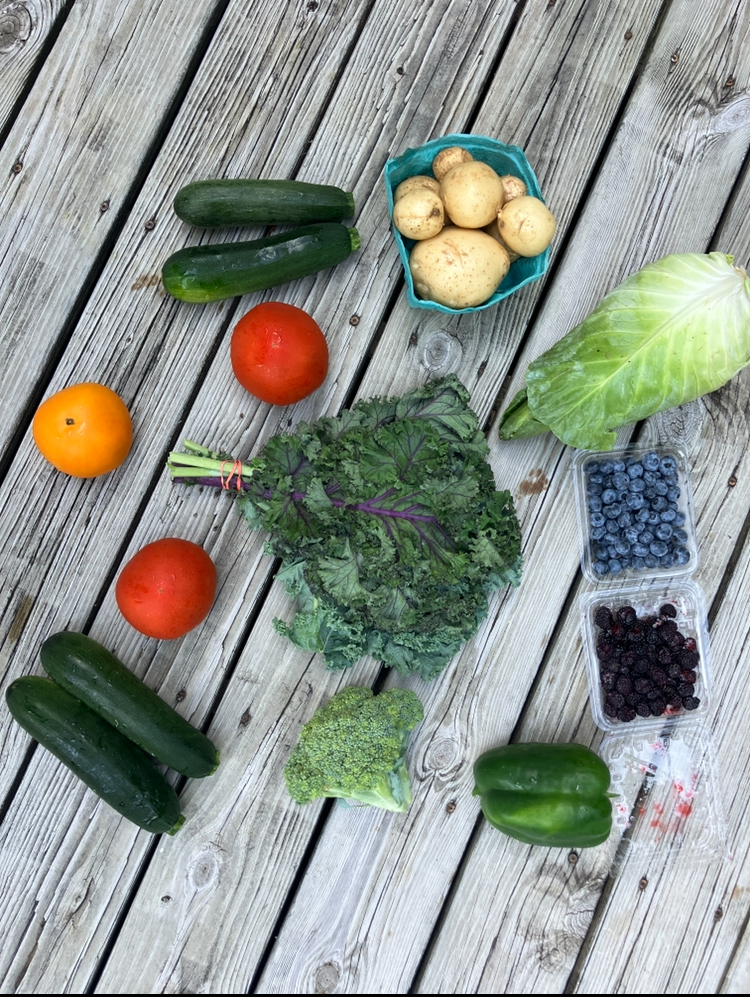 Read more about the article fullshare 6/28/25