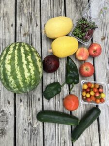 Read more about the article 9/4/15 Fullshare