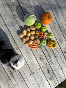 Read more about the article Fullshare 11/13/25