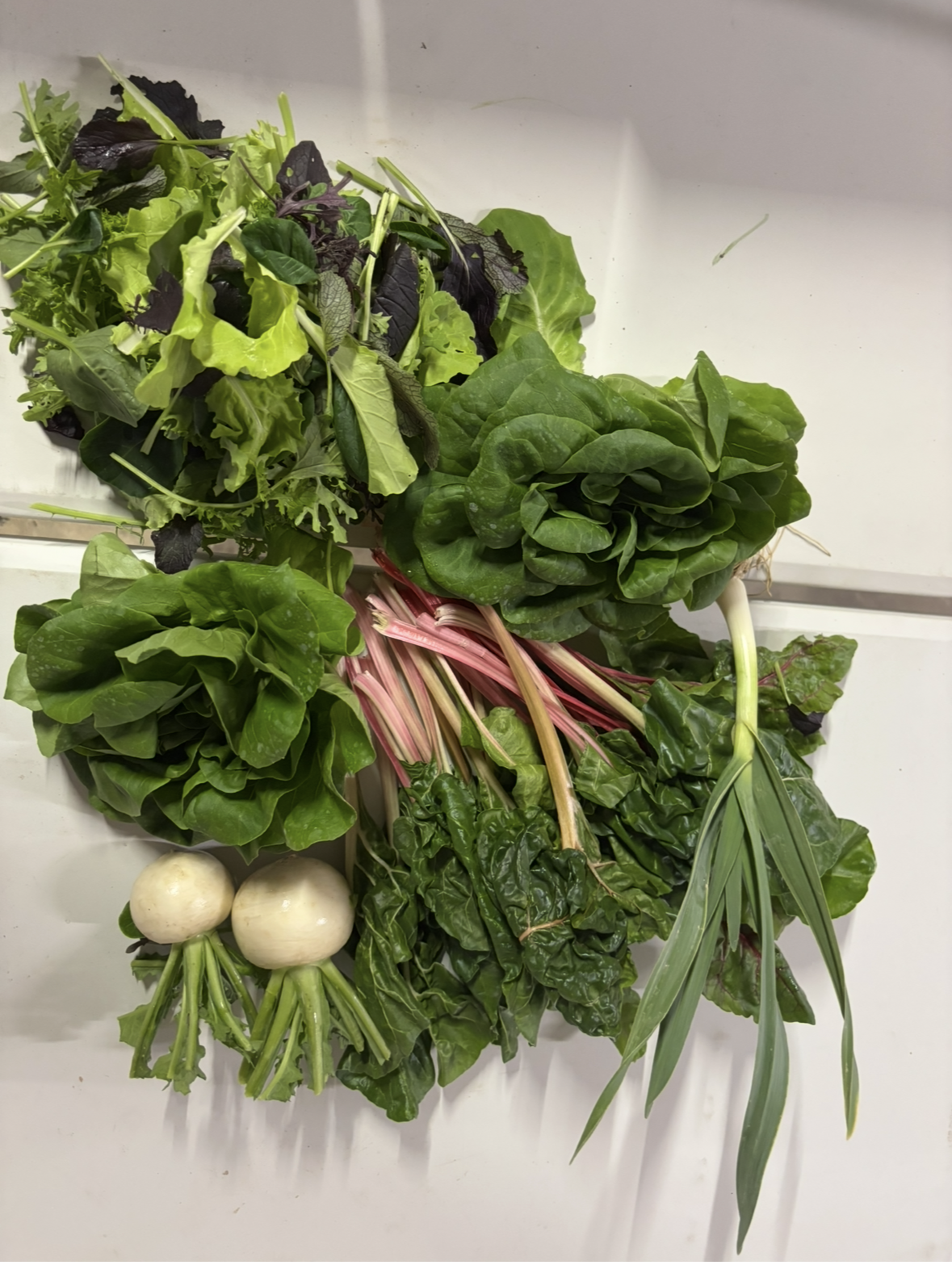 Read more about the article Early Greens 4/14/26