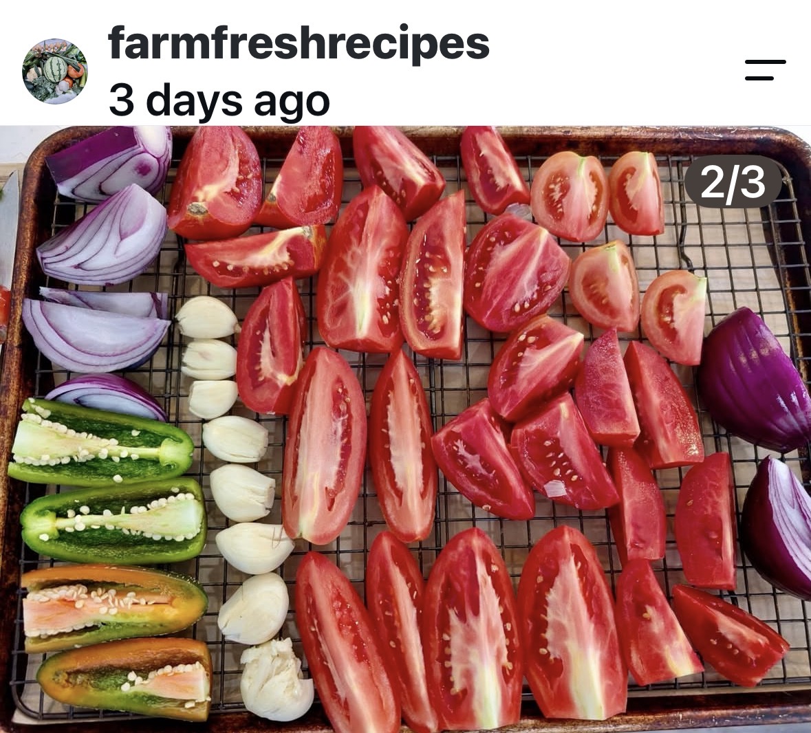 Read more about the article Farm Fresh Salsa